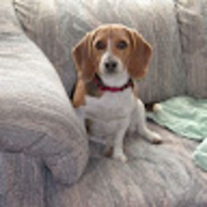 Meet your Posher, Tomoe